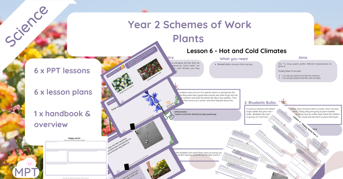 MAIN Website Outdoor Learning (1200 × 628 px) (23) Year 2 Plants Scheme of Work