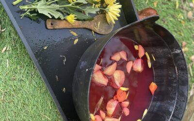 How Outdoor Learning Supports Mental Health and Wellbeing in Children