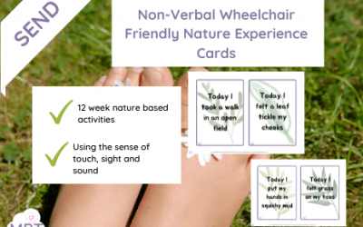 Non-Verbal Wheelchair Friendly Nature Experience Cards