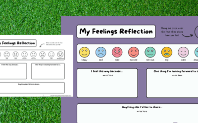 Feelings Reflection Sheet