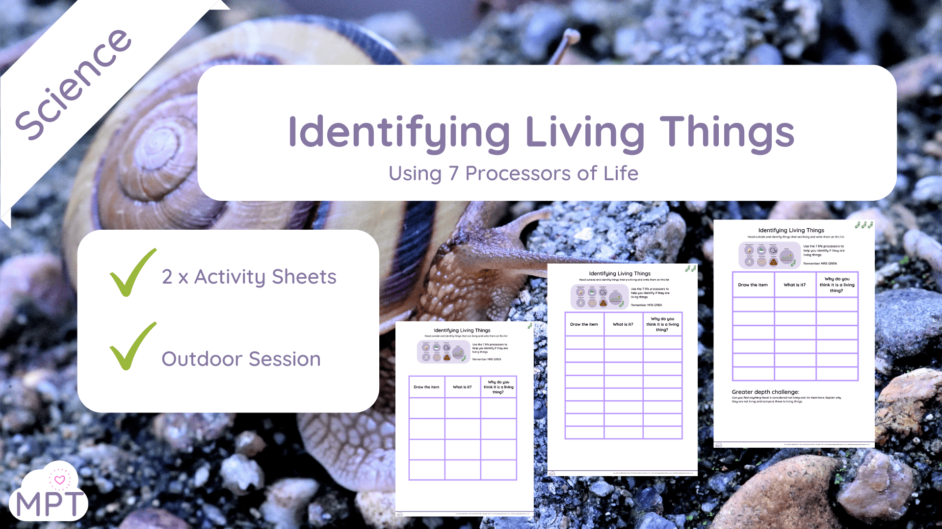 Outdoor Learning website (13) Identifying living things
