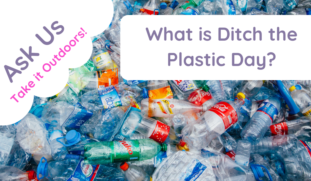 ditch the plastic day