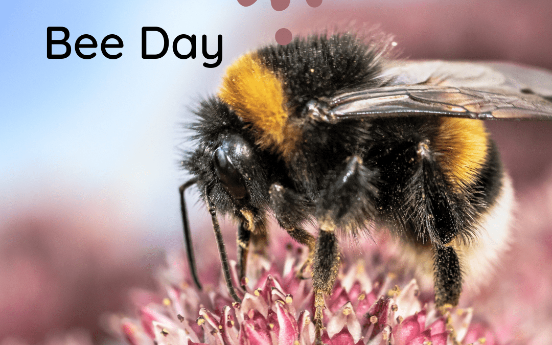 Bee Day