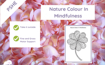 Nature Colour In Mindfulness