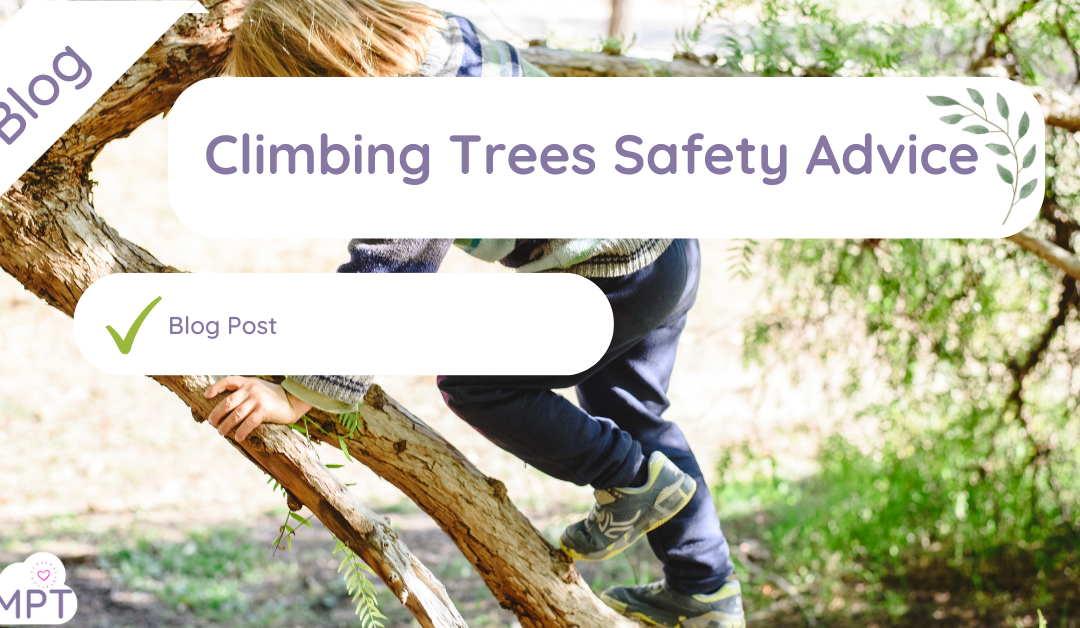 Climbing Trees Safety Advice